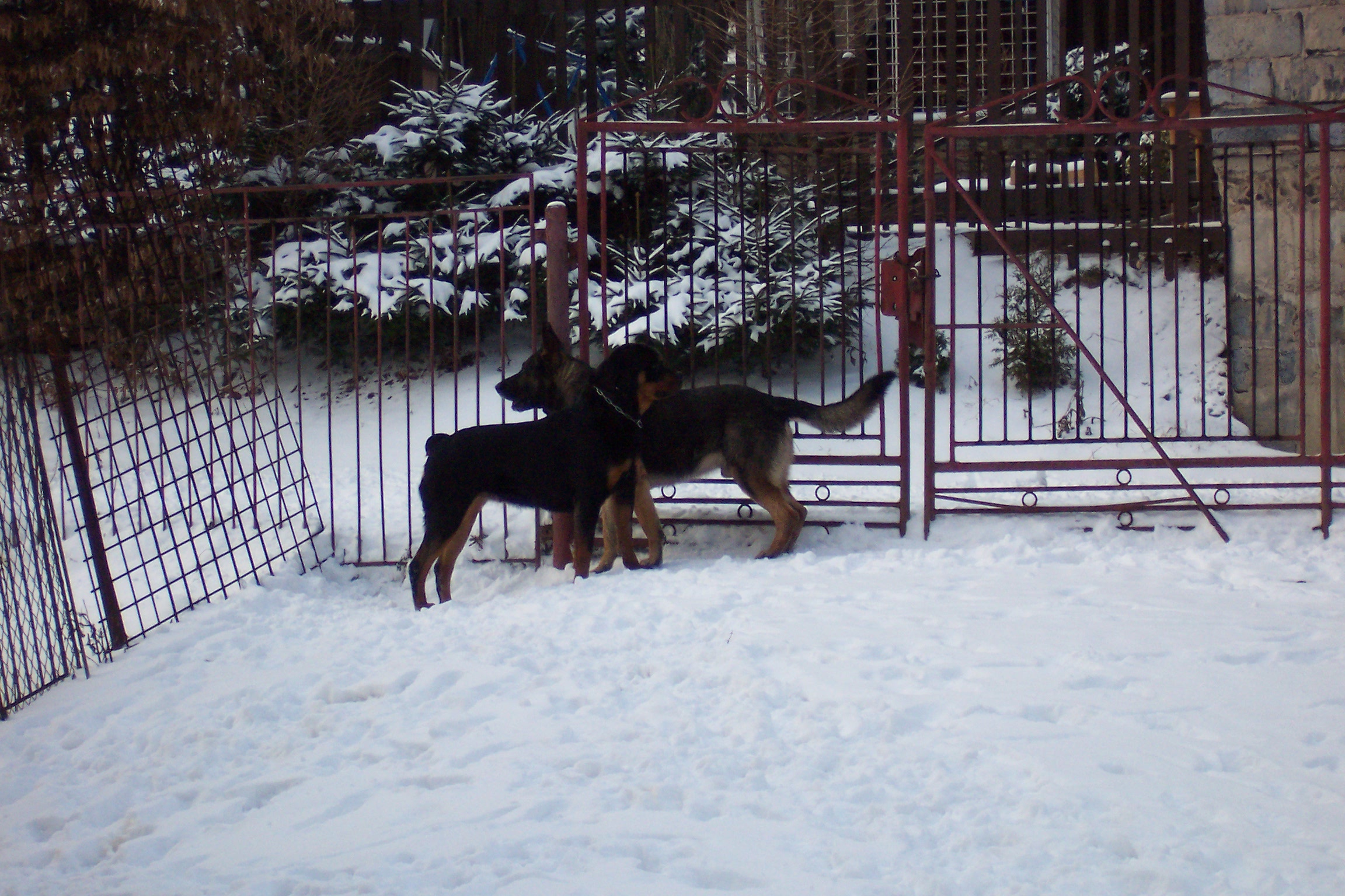 100_5401.JPG