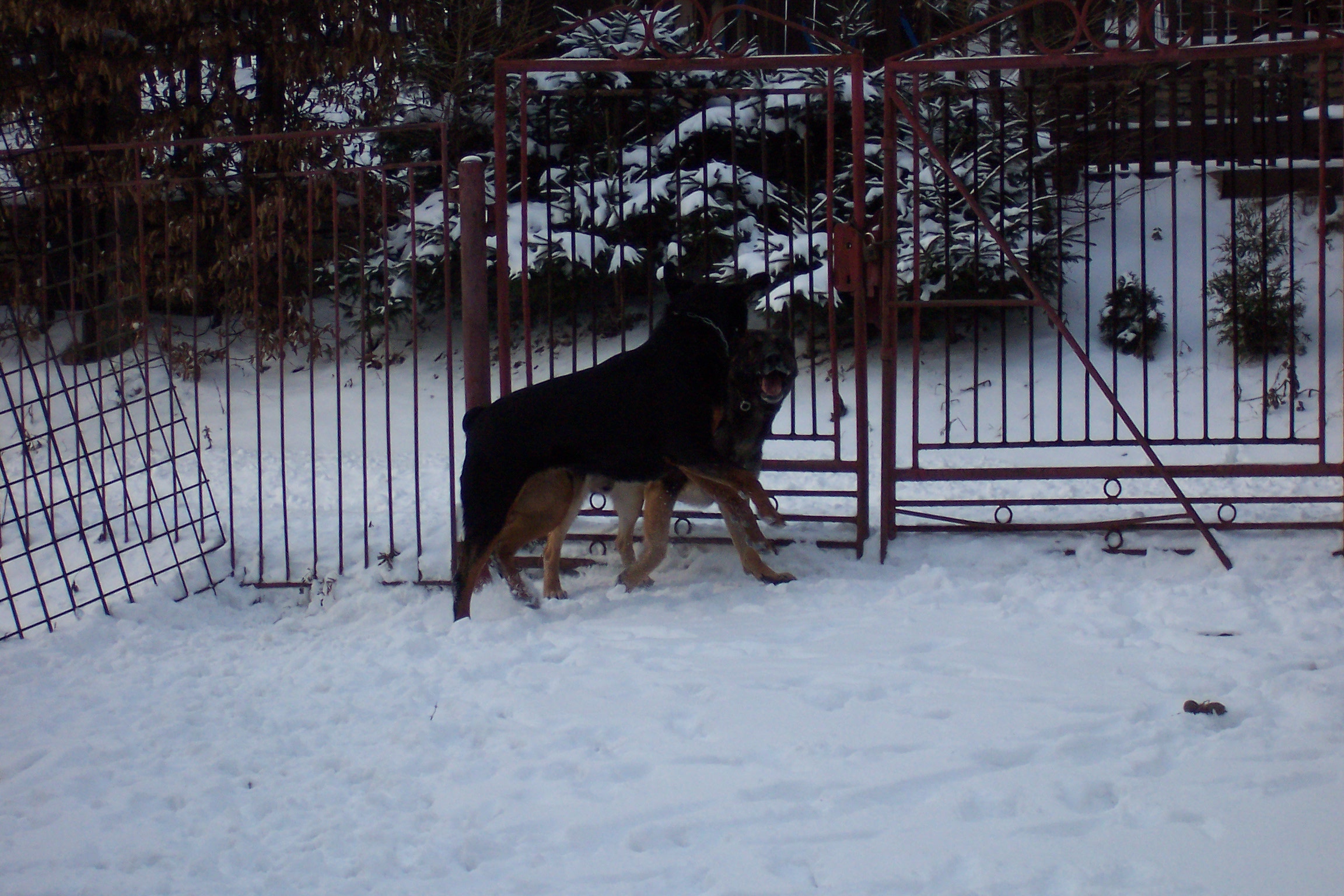 100_5402.JPG