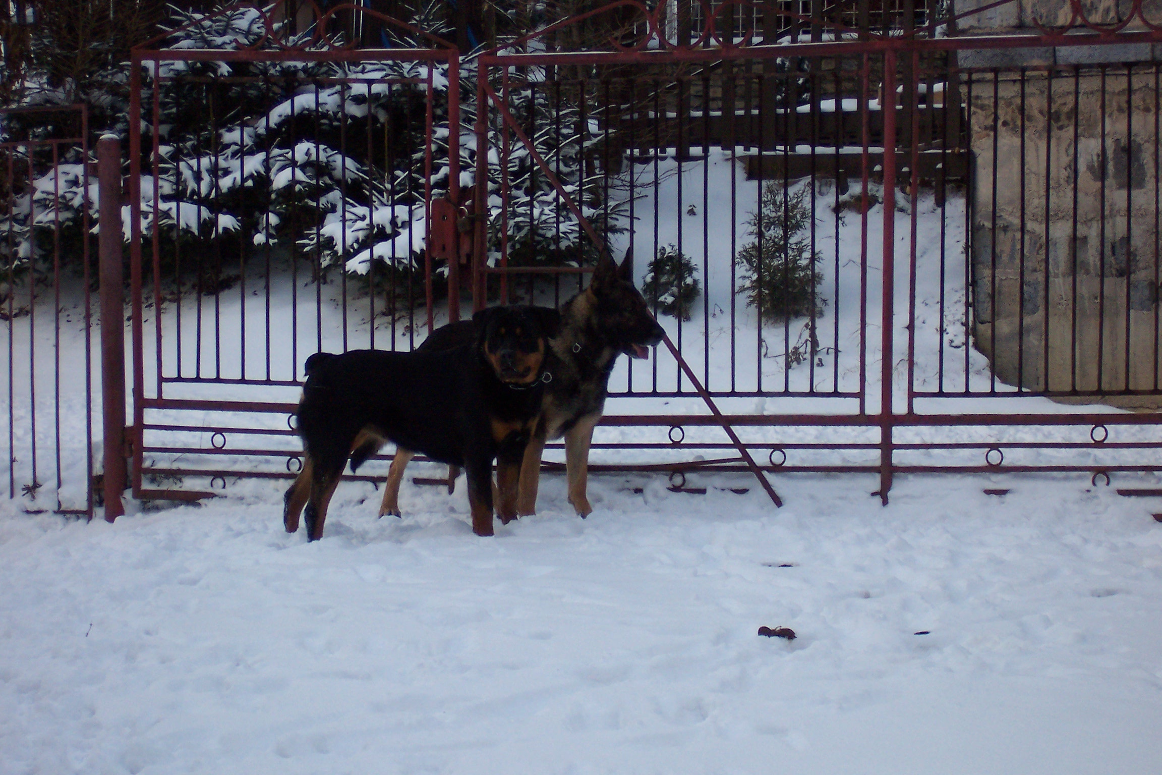 100_5405.JPG