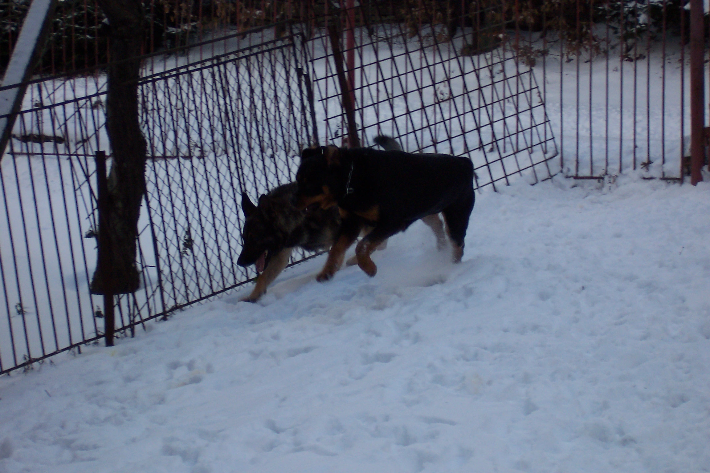 100_5406.JPG