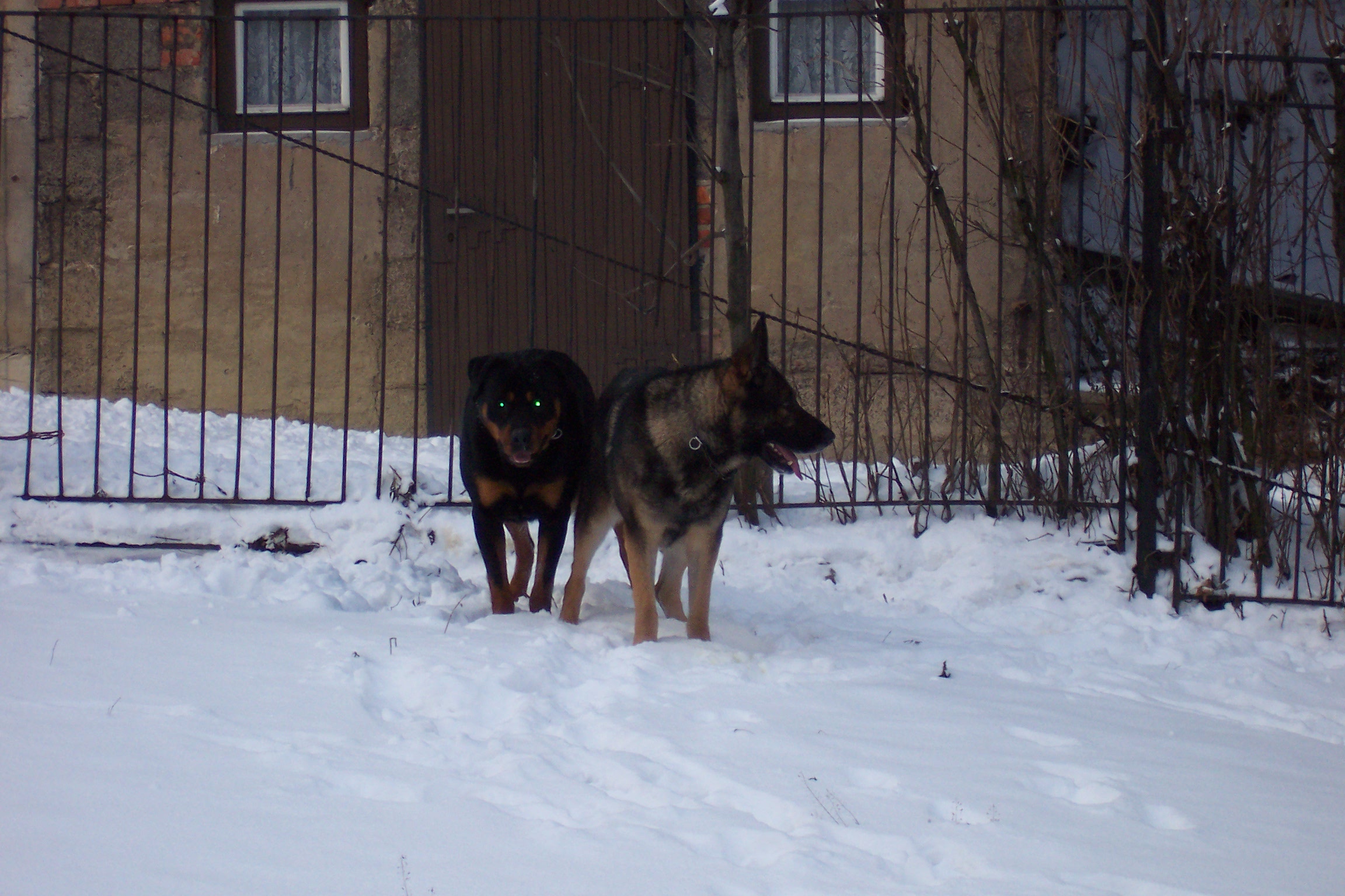 100_5403.JPG