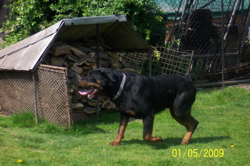 Brix