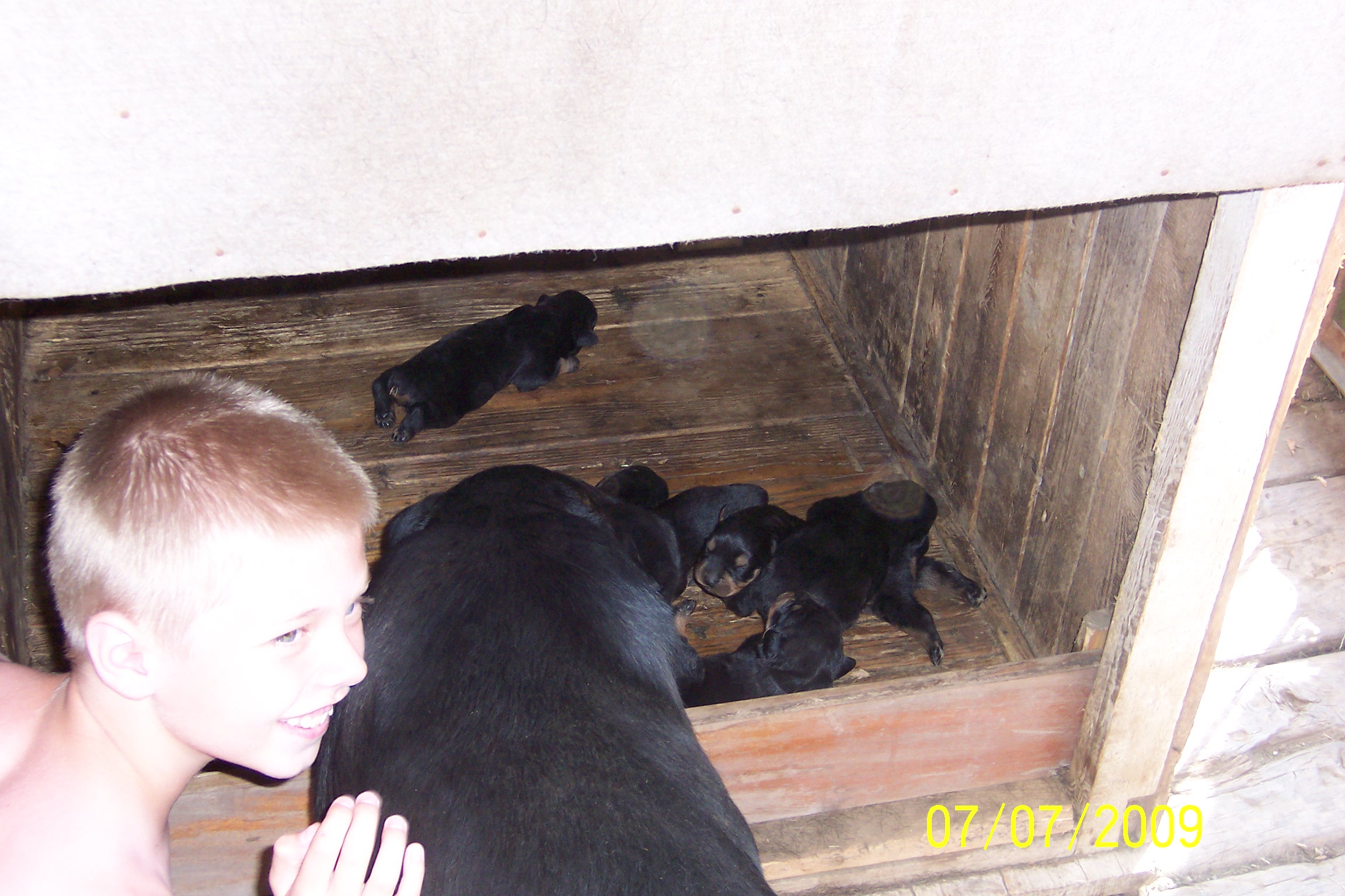 100_5798.JPG